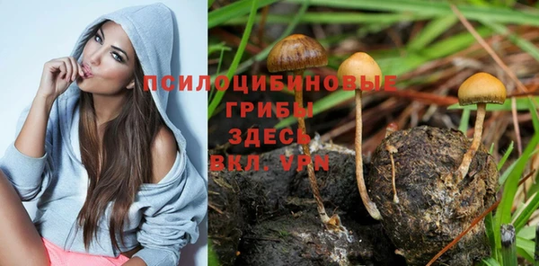 соль курить ск Лагань