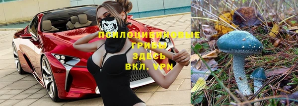 не бодяженный Россошь