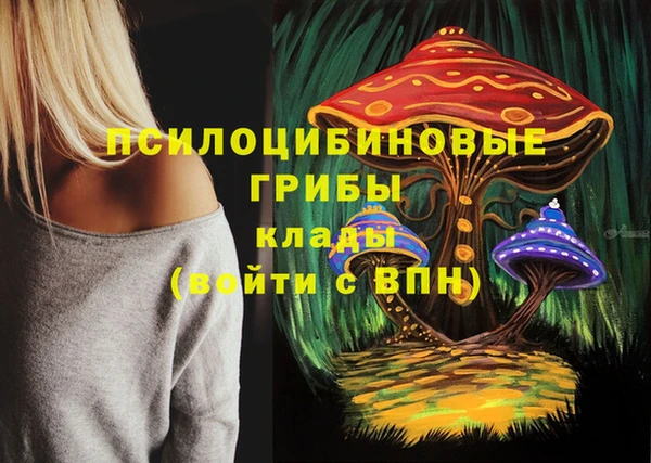 apvp Ладушкин