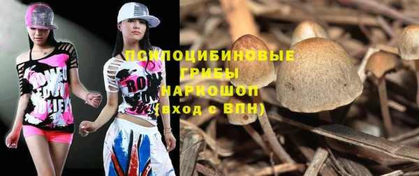 соль курить ск Лагань
