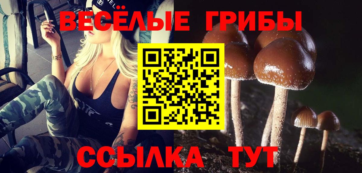 Галлюциногенные грибы GOLDEN TEACHER Лобня