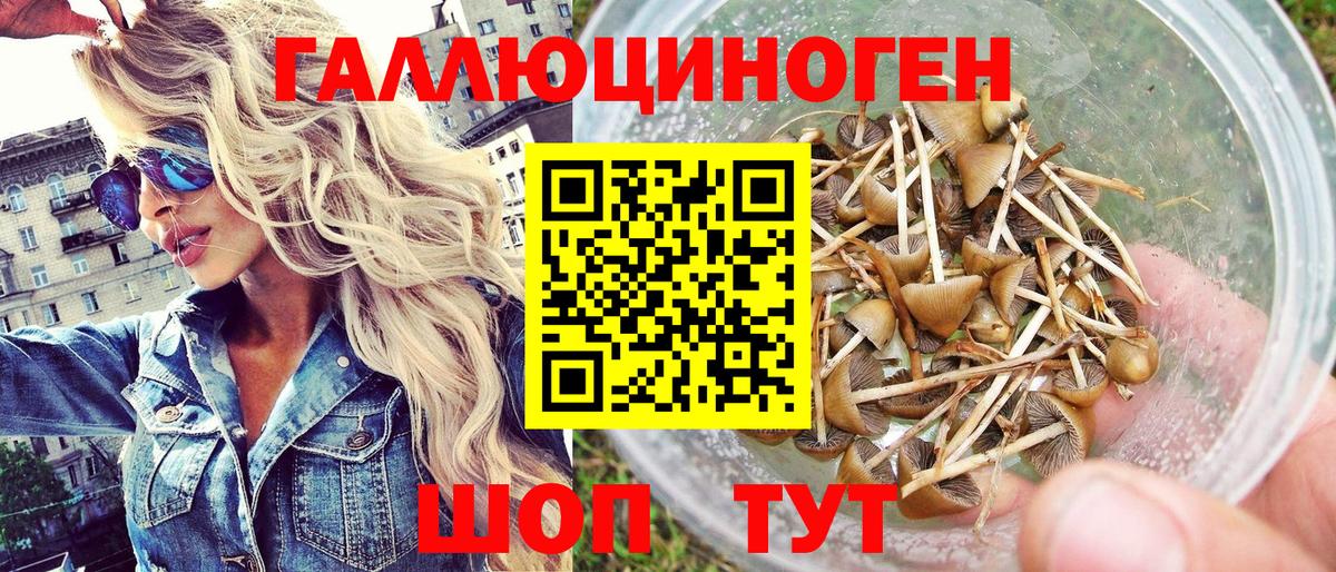 Псилоцибиновые грибы GOLDEN TEACHER Лобня