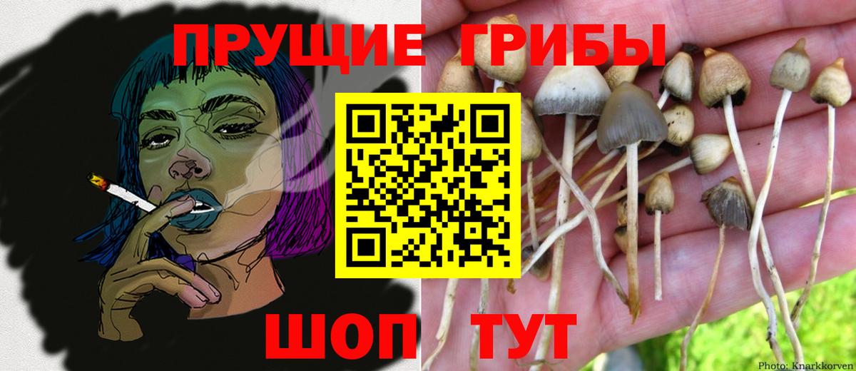 Лобня  Псилоцибиновые грибы мицелий  Псилоцибиновые грибы Magic Shrooms  Вход с VPN 