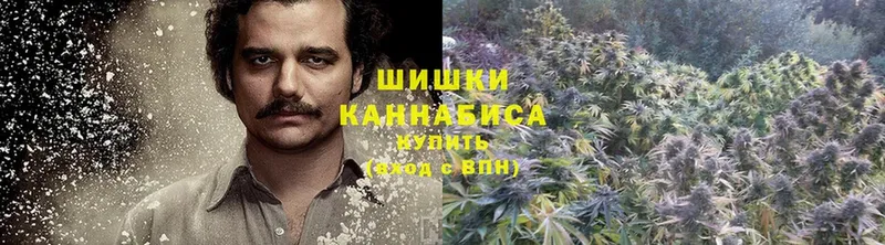 Конопля THC 21%  Лобня 